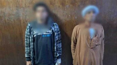 كشف ملابسات تداول فيديو تضمن ظهور خيول داخل فناء إحدى المدارس بالجيزة 