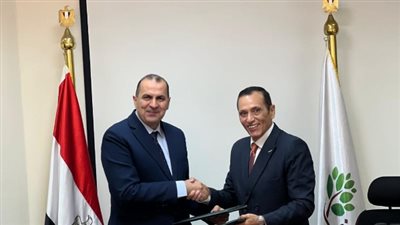 تنمية الريف المصري الجديد تطلق مشروعًا ضخمًا لتوصيل الكهرباء إلى أراضيها 