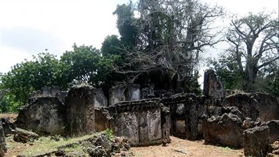 رؤية تاريخية حول مصطلح شرق أفريقيا القديم