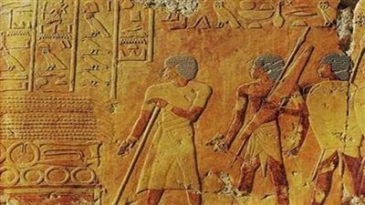 العلاقة بين بلاد آزانيا وبلاد بونت