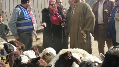 قافلة بيطرية تعالج 1622 طائرًا وماشية في مركز السنطة بالغربية