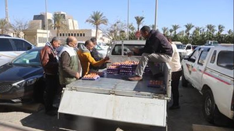 بيع الدواجن وبيض