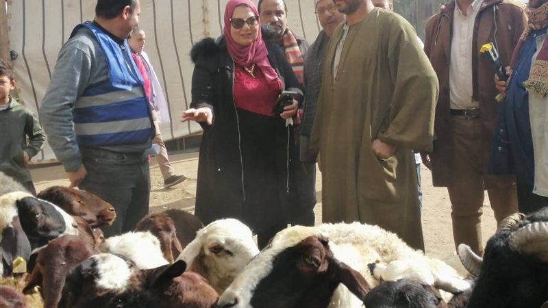 جانب من فعاليات القافلة