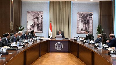 رئيس الوزراء يتابع إجراءات رفع كفاءة أداء الهيئات الاقتصادية