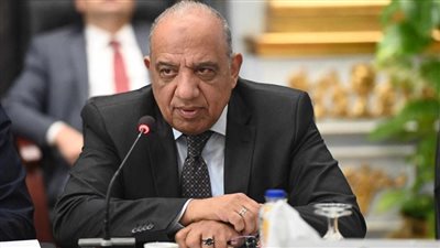 خطة لتحويل مصر إلى مركز إقليمي لصناعة المهمات الكهربائية