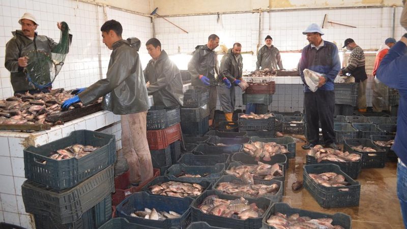 افتتاح موسم الصيد