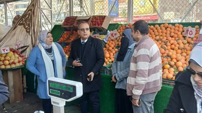 ضبط مصنع أجبان مخالف وتحرير 110 مخالفات خلال حملة تموينية بالدقهلية 