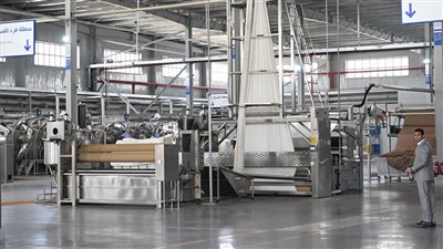 الإسماعيلية 2025.. عام التنمية الشاملة والانطلاق الاقتصادي والثقافي