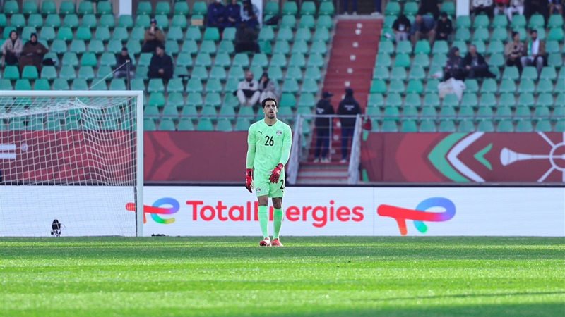 مصطفى شوبير