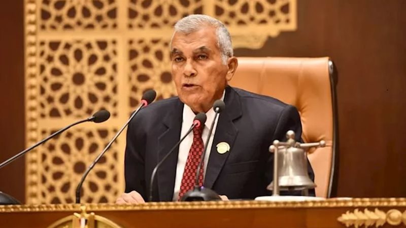  المستشار عصام فريد،