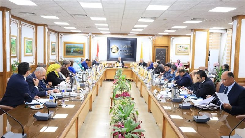 مجلس جامعة المنيا