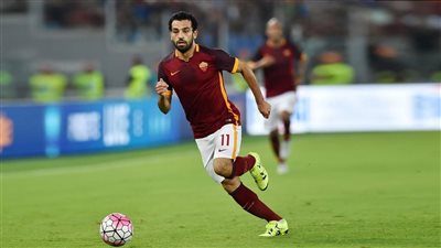 تقارير صحفية: 