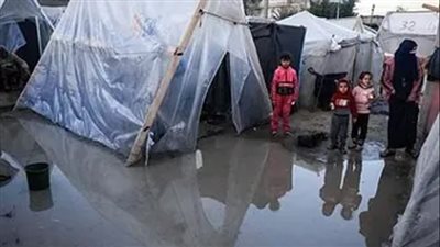 أمجد الشوا: أزمة غزة تتفاقم و900 ألف فلسطيني يعيشون في الخيام