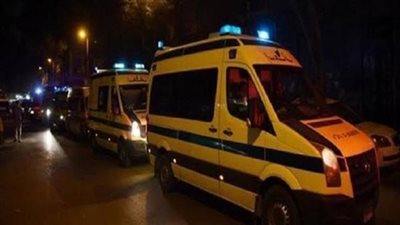 إصابة 12 عاملًا في حادث انقلاب ربع نقل بالمنيا الجديدة