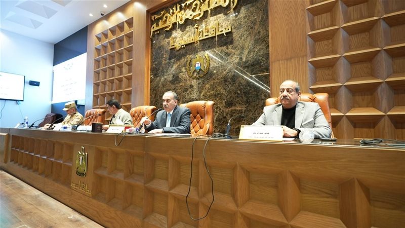 المجلس التنفيذي 