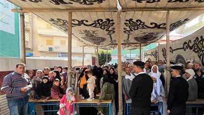 إقبال ملحوظ للمواطنين على اللجان الانتخابية بحوش عيسى بالبحيرة