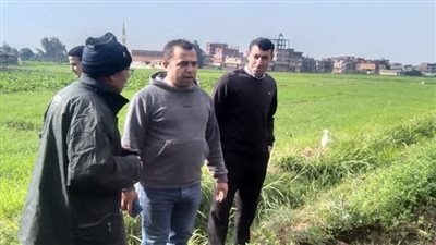 ندوات إرشادية لنشر التوصيات الفنية لمحصول القمح وترشيد استهلاك المياه