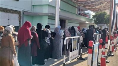 انتظام عمل اللجان الانتخابية في اليوم الثاني لجولة الإعادة بالوادي الجديد