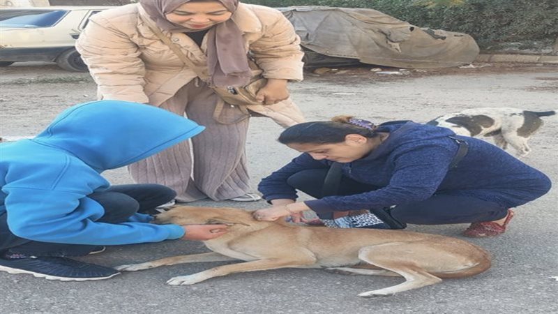 حملة ميدانية لتحصين