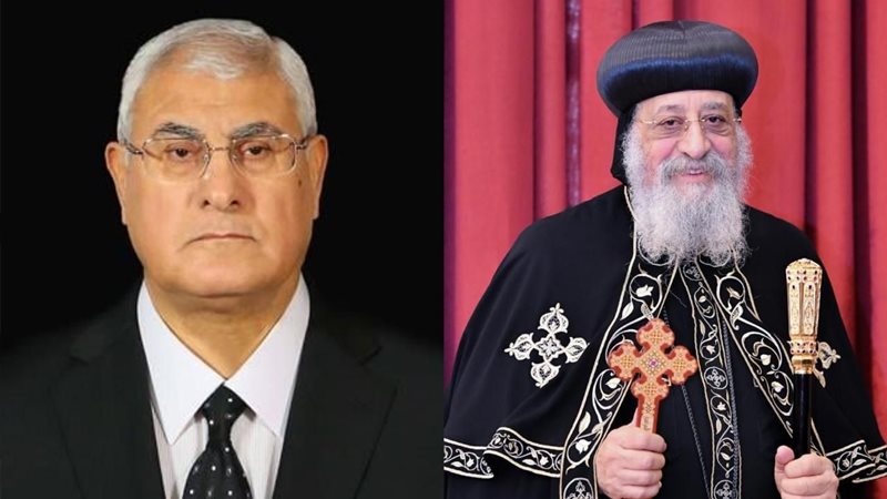 المستشار عدلي منصور