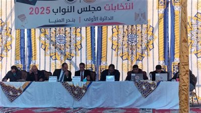 نتيجة الحصر العددي لانتخابات النواب بالدائرة الأولى بمركز المنيا
