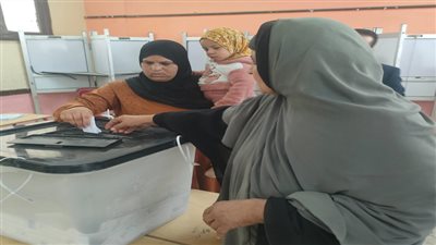 انتخابات الدائرة الثالثة.. الفيوم تحبس أنفاسها في سباق المقاعد الثلاثة
