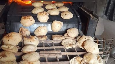 تموين الإسكندرية: حملات المخابز والأسواق تحرر 263 محضرًا لمخالفات متنوعة