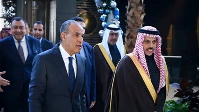 وزير الخارجية يعقد مباحثات ثنائية مع نظيره السعودي