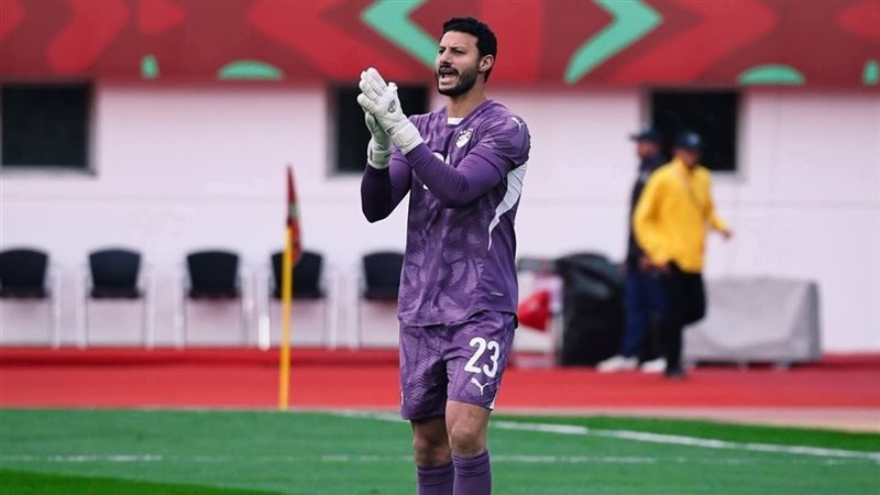 محمد الشناوي