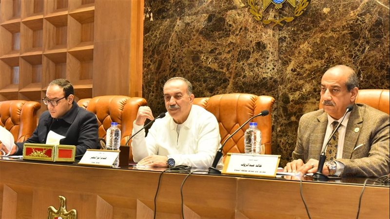 المجلس التنفيذي 