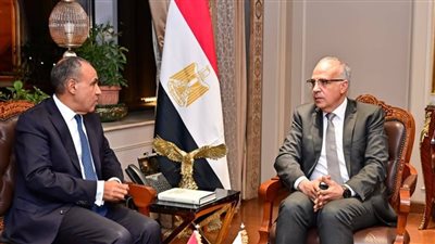 وزيرا الري والخارجية: مصر لن تسمح بأي إجراءات أحادية تهدد أمنها المائي 