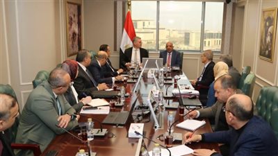 وزيرا الكهرباء والبترول يبحثان توفير الوقود لتأمين التغذية الكهربائية