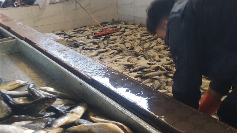 جانب من الحملة والمضبوطات