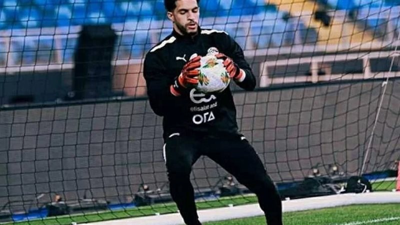 مصطفى شوبير