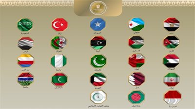 مصر والدول العربية والإسلامية تدين زيارة مسؤول إسرائيلي لإقليم أرض الصومال