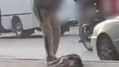 كشف ملابسات تداول فيديو بقيام شخص بضرب كلب بـ