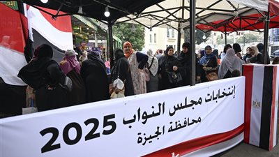 رئيس العربية لحقوق الإنسان: انتخابات النواب نموذج متقدم للنزاهة