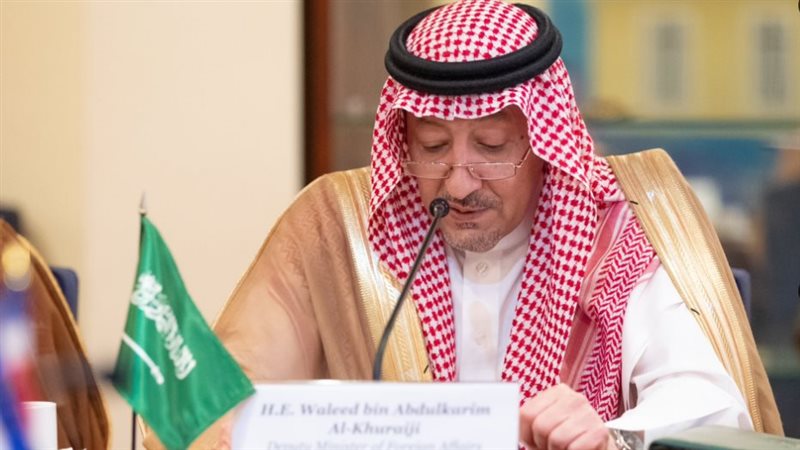 نائب وزير الخارجية