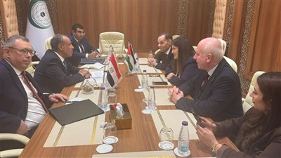 وزير الخارجية يناقش مع نظيرته الفلسطينية تطورات الوضع في الأراضي المحتلة