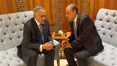 تفاصيل لقاء وزير الخارجية المصرى ونظيره الباكستاني