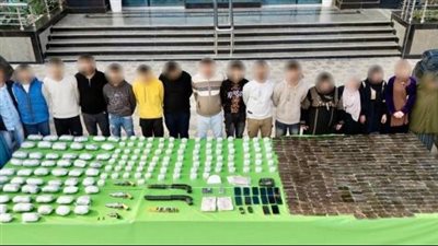   مصرع 4 عناصر شديدة الخطورة وضبط نصف طن مخدرات بأسوان