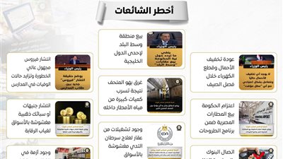 جهود مواجهة الشائعات في 2025.. الاقتصاد والتعليم والصحة الأكثر استهدافًا