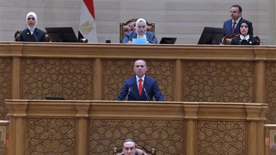 انطلاق الجلسة الافتتاحية لمجلس النواب بالعاصمة الجديدة.. صور