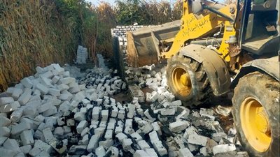 إزالة 17 حالة تعد على مبان وأراض زراعية في 4 مراكز بأسيوط