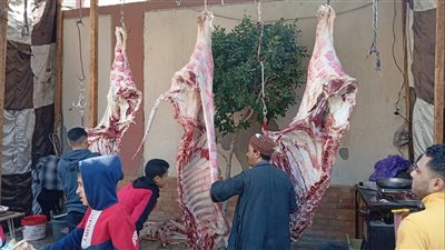 استمرار بيع كيلو اللحوم البلدية بـ290 جنيهًا بمنافذ منفلوط