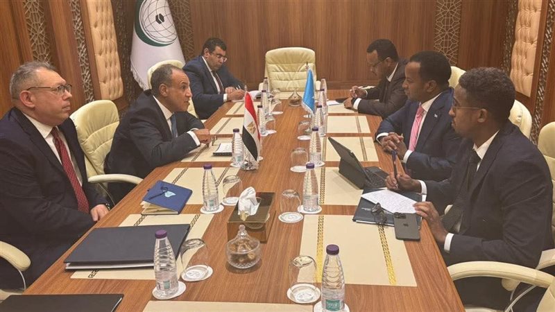 لقاء وزيرا خارجية