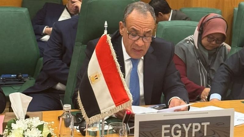 عبد العاطي خلال كلمته