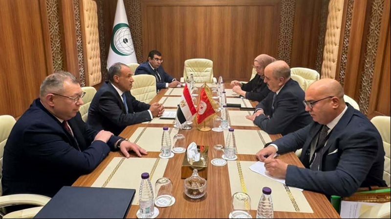 وزير الخارجية ونظيره