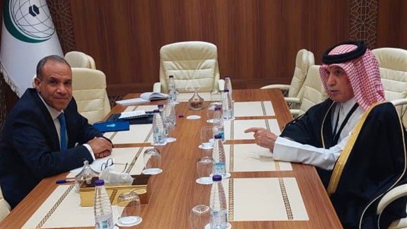 وزير الخارجية ونظيره