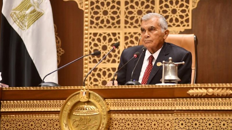 المستشار عصام فريد